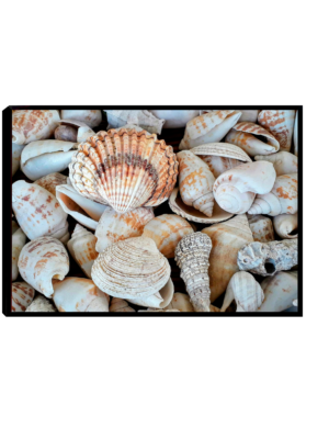 Quadro com Conchas: Arte Marinha para sua Casa - Adicione um toque de mistério e beleza ao seu espaço com esta obra de arte inspirada no mar.