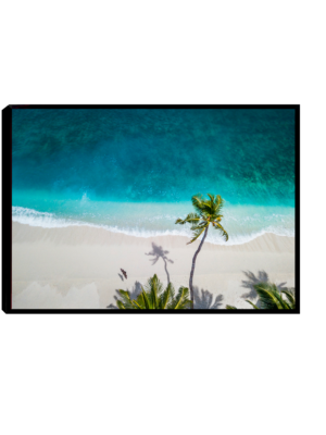 Imagem aérea de uma praia paradisíaca com mar azul cintilante, areia branca, coqueiros e um morcego voando tranquilamente.