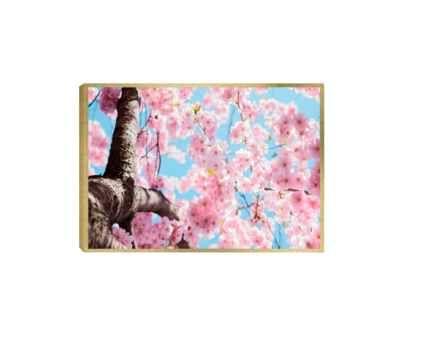 Quadro Decorativo Floral com Árvore em Floração em tons de rosa e azul, capturando a serenidade e a renovação da natureza.